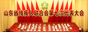 山东省残疾人联合会第七次代表大会